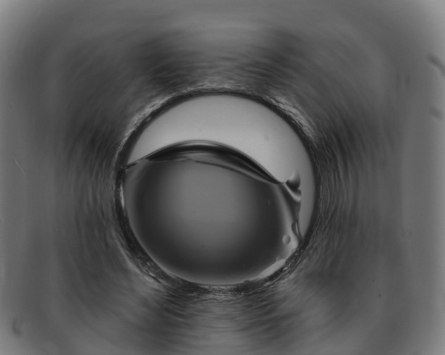 X0000091910492200709121520