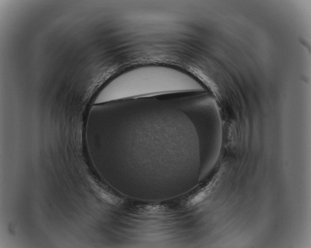 X0000091910493200709121520