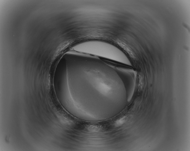 X0000091910494200709121520