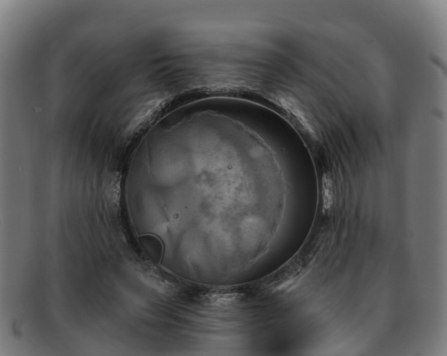 X0000091910495200709121520