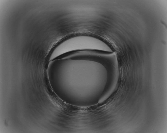 X0000091910496200709121520