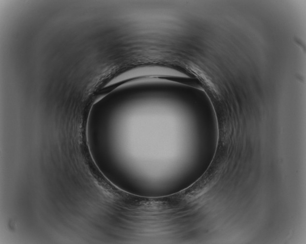 X0000091910497200709121520