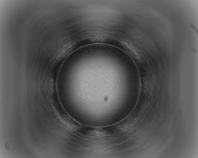 X0000091910498200709121520