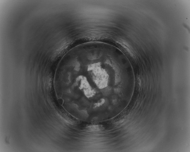 X0000091910499200709121520