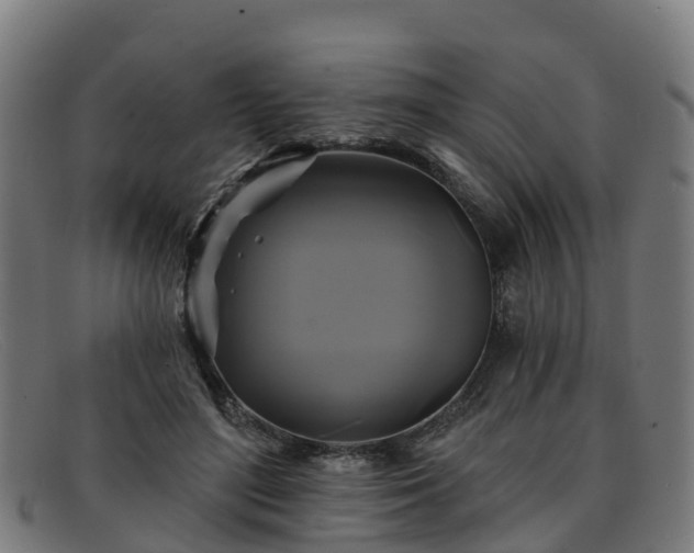 X0000091910500200709121520