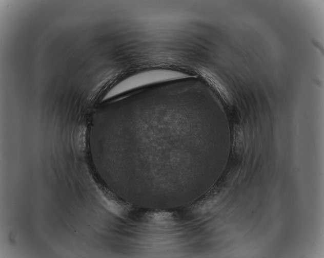 X0000091910501200709121520