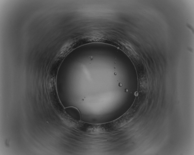 X0000091910503200709121520