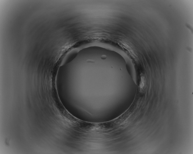 X0000091910504200709121520