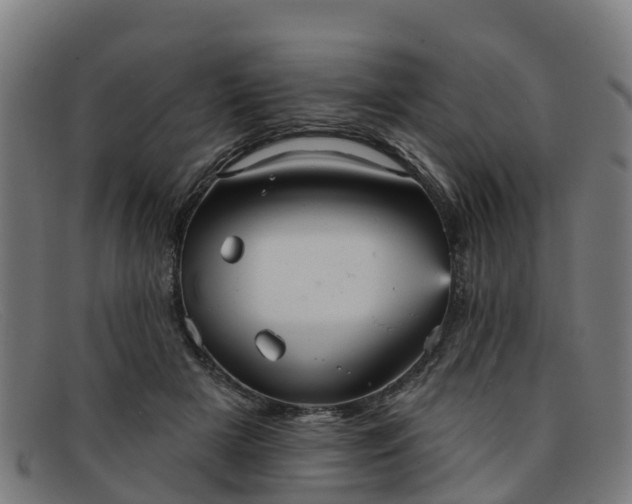 X0000091910505200709121520