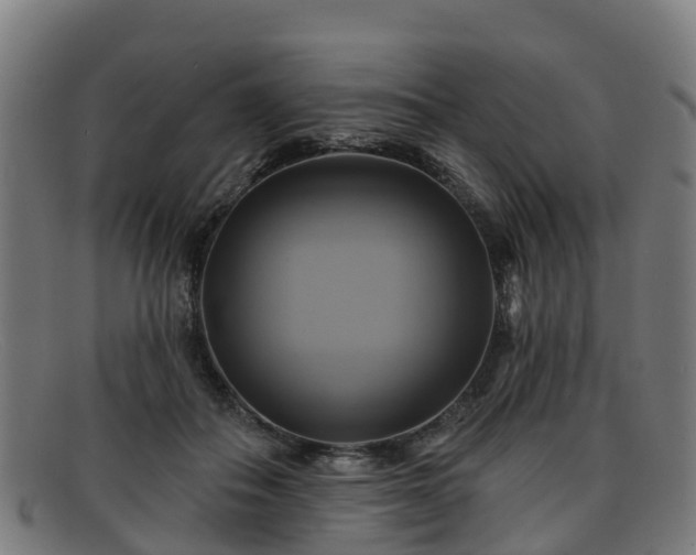 X0000091910506200709121520