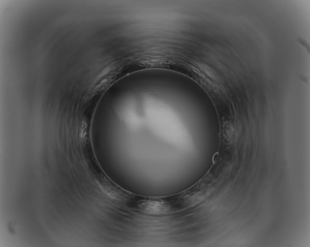 X0000091910507200709121520