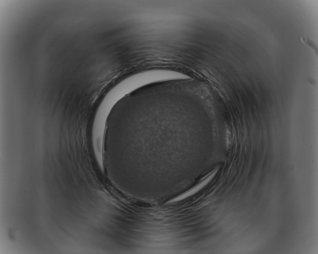 X0000091910508200709121520