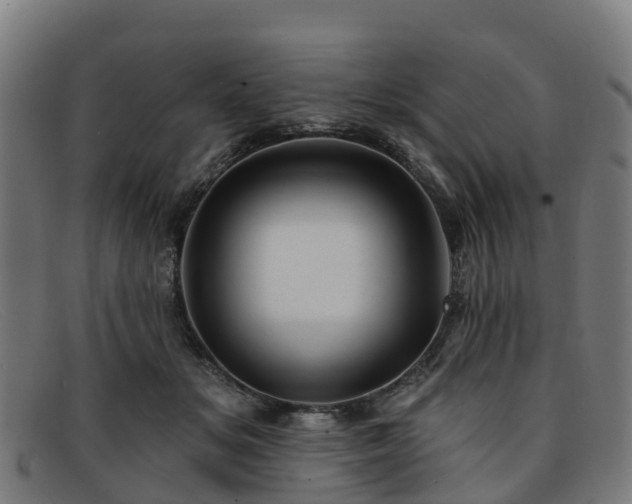 X0000091910509200709121520