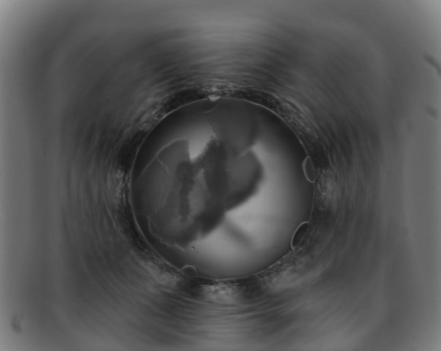 X0000091910511200709121520