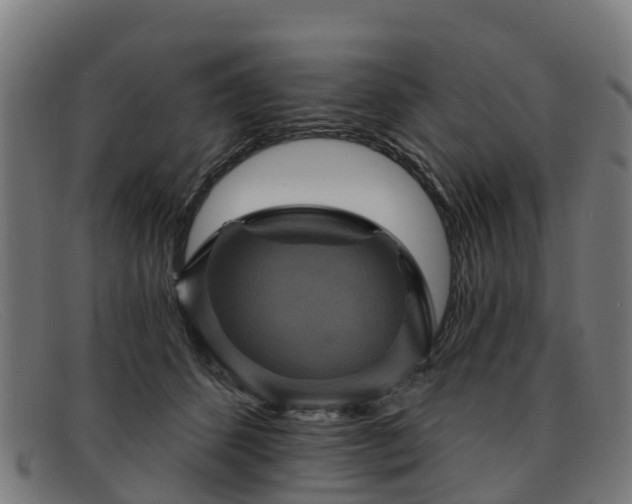 X0000091910512200709121520