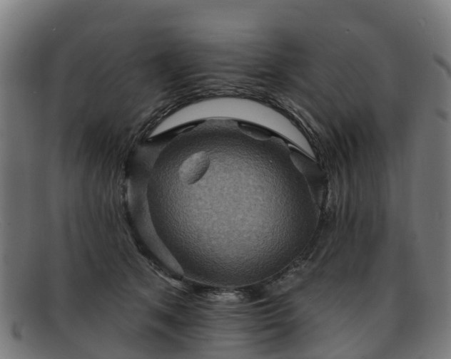 X0000091910513200709121520