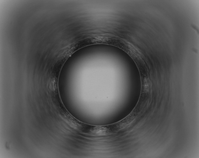 X0000091910514200709121520