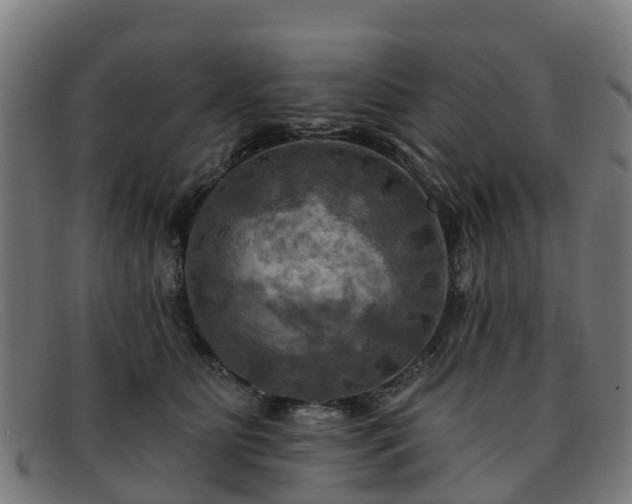 X0000091910515200709121520