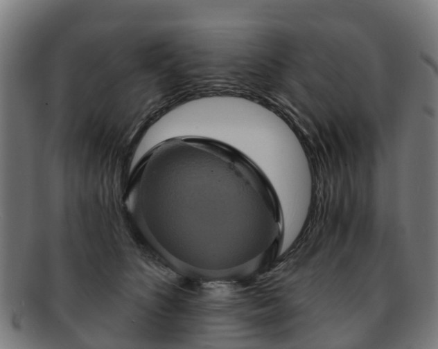 X0000091910516200709121520