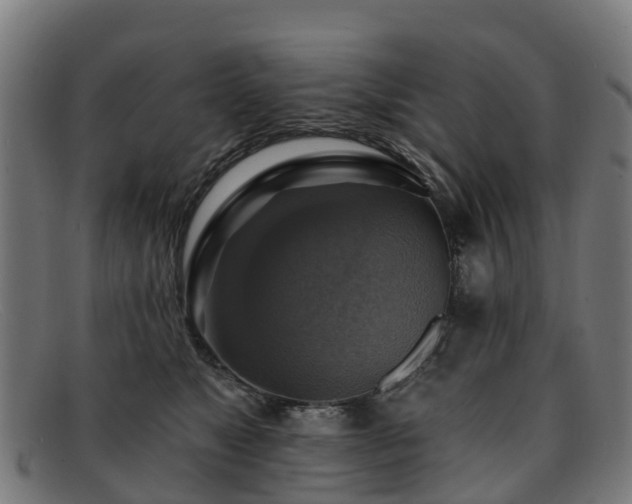 X0000091910517200709121520