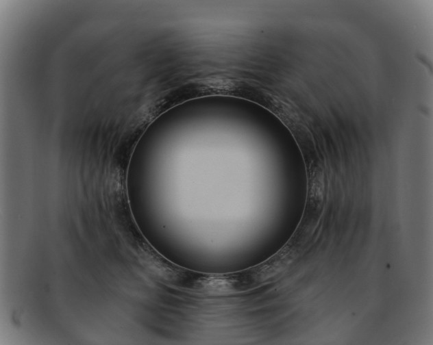 X0000091910518200709121520