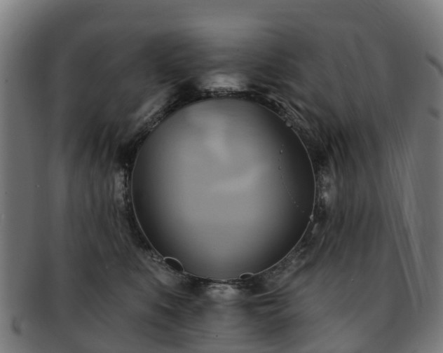 X0000091910519200709121520