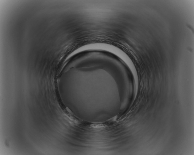 X0000091910520200709121520