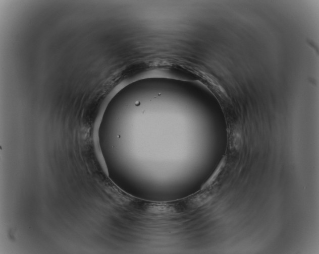 X0000091910521200709121519