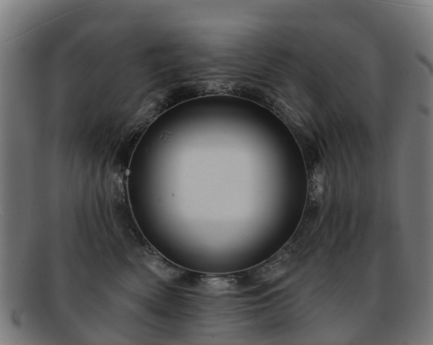 X0000091910522200709121519