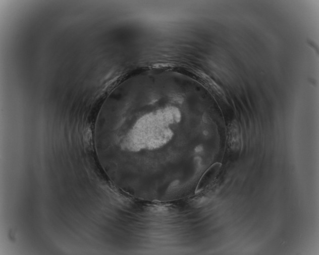 X0000091910523200709121519