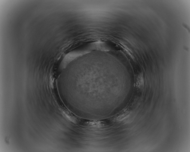 X0000091910524200709121519