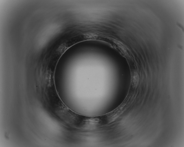 X0000091910525200709121519