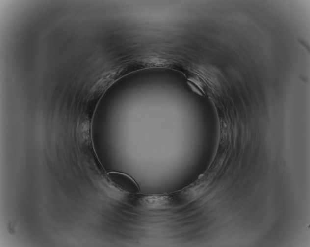 X0000091910526200709121519