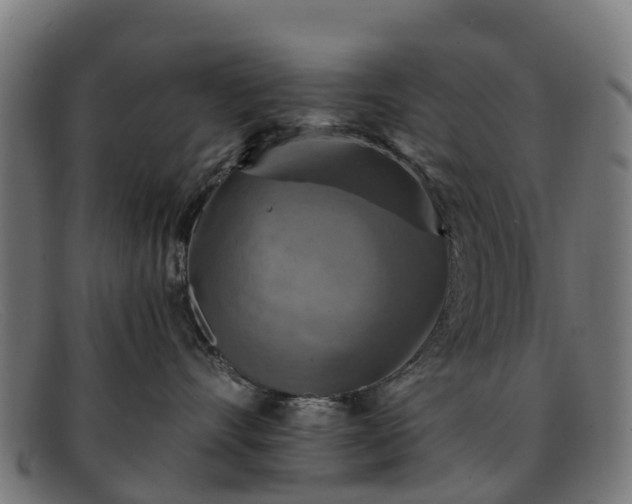 X0000091910528200709121519