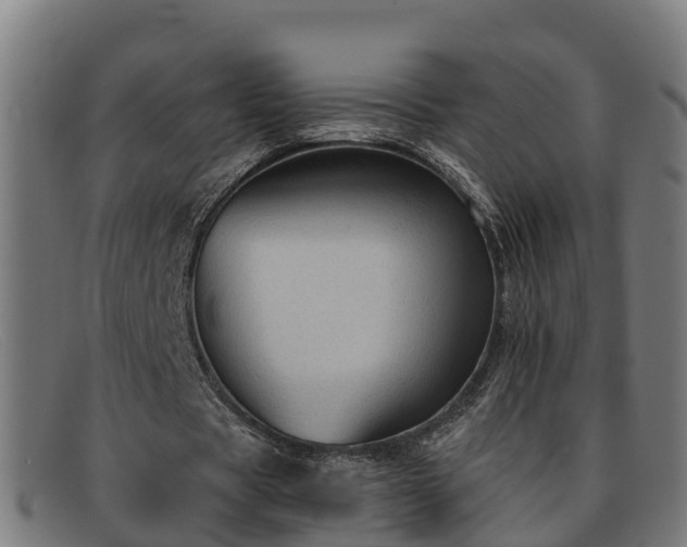 X0000091910529200709121519