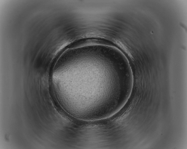 X0000091910530200709121519