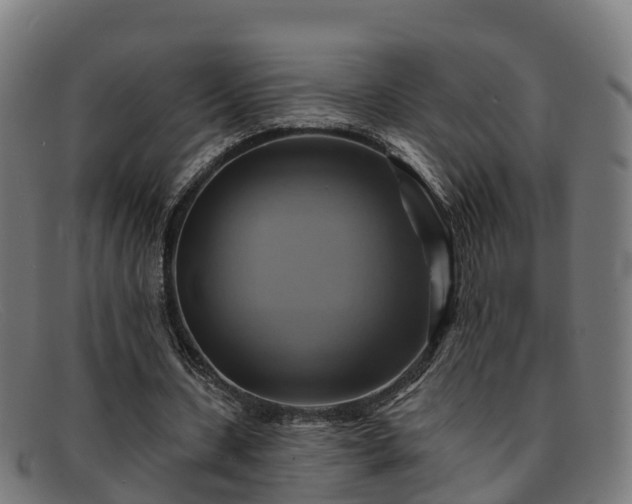 X0000091910531200709121519