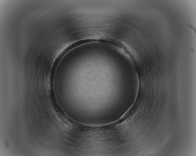 X0000091910532200709121519