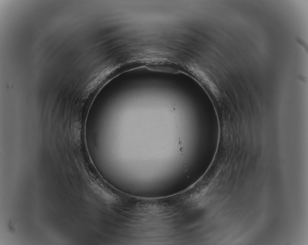 X0000091910533200709121519