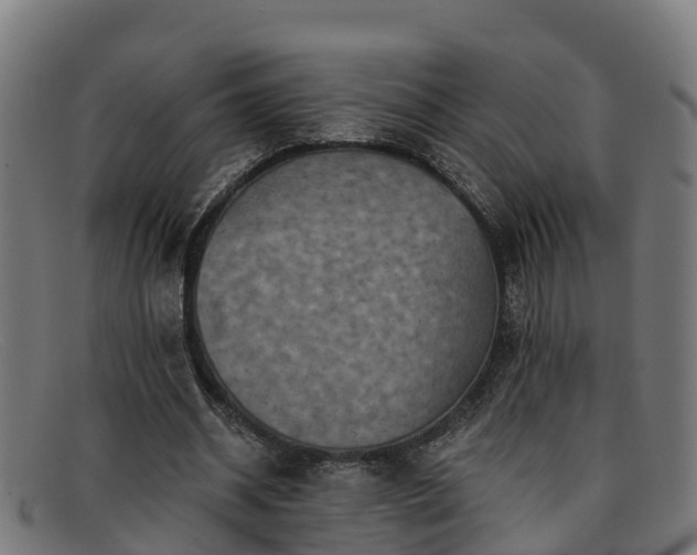 X0000091910534200709121519