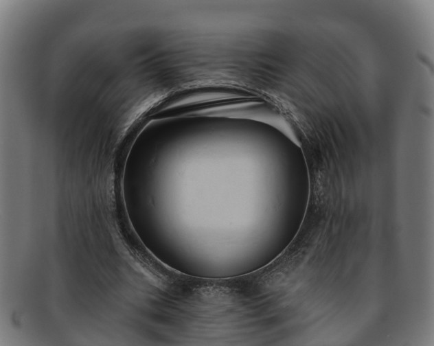 X0000091910535200709121519