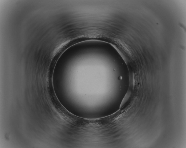 X0000091910536200709121519