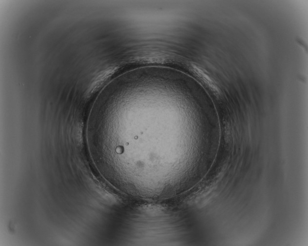 X0000091910537200709121519