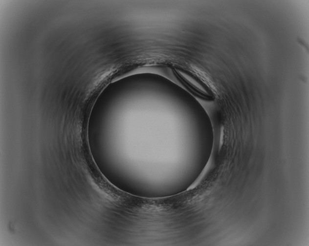 X0000091910538200709121519