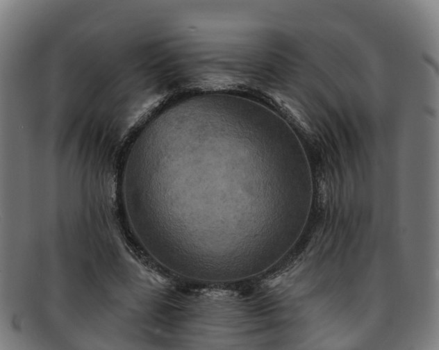 X0000091910539200709121519