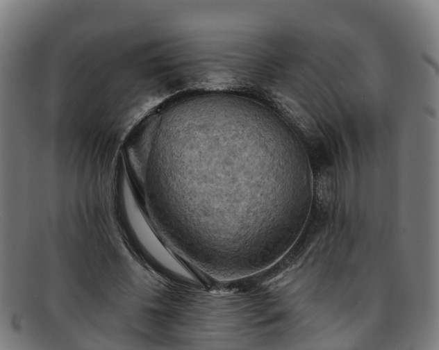 X0000091910540200709121519