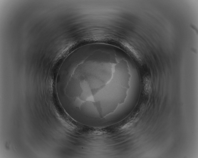 X0000091910542200709121519