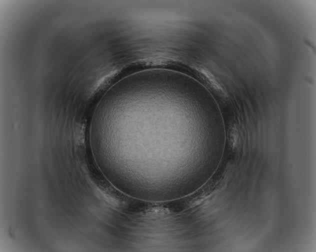 X0000091910543200709121519