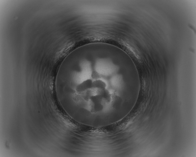 X0000091910545200709121519