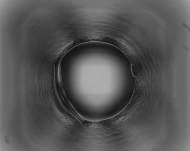 X0000091910546200709121519